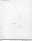 Historisches Foto (Rückseite) von Pithonoton marginarum (von Meyer, 1842) (NHMW-AFW-GEO-BACHMAYER-FOTO-1990-0041-0001b)